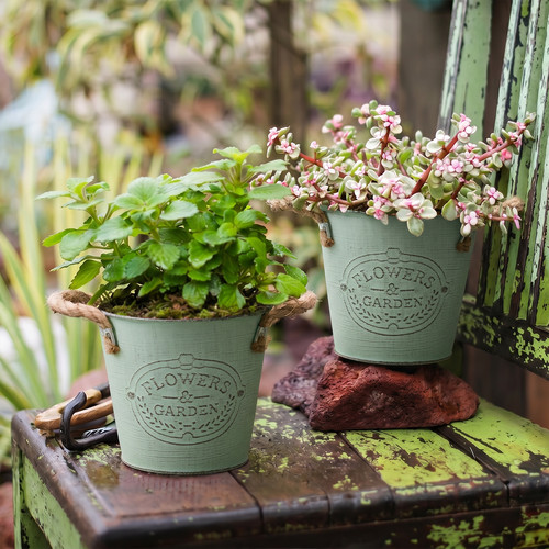 2pcs rustic metal garden - rustic,