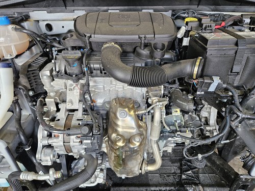 2024 fiat 500 - 500, 1.0