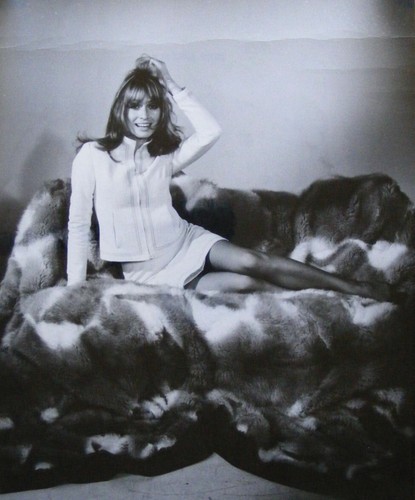 Suzy kendall 5 inch - suzy,