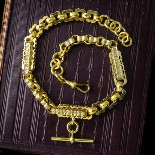 Antique edwardian albert chain - edwardian,