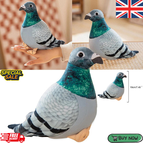 Simulation pigeon bird - simulation,