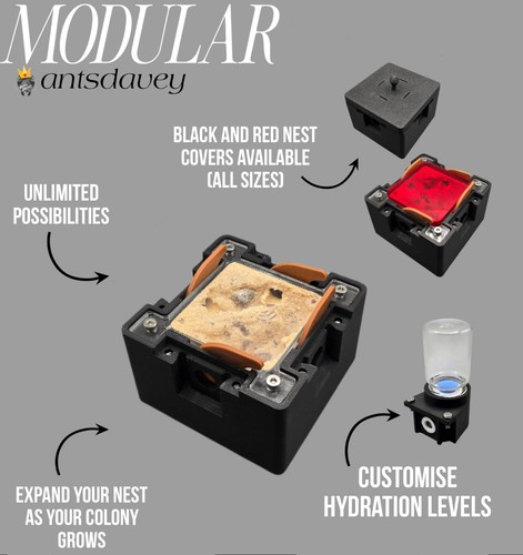 Modular founding nest - modular, |