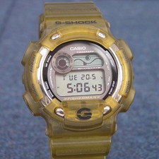 90s CASIO DW-8600 "Fisherman"
