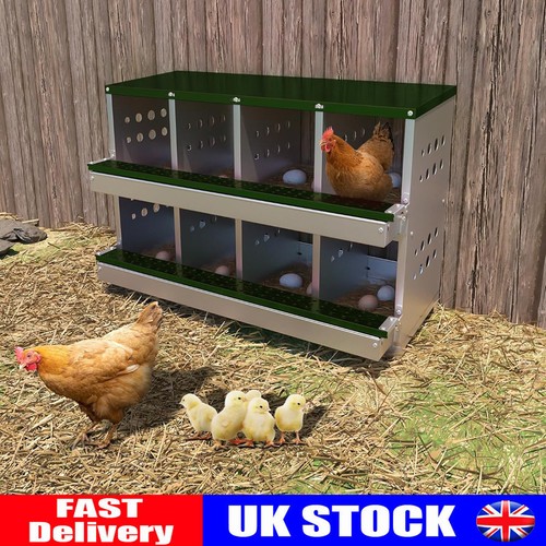 Chicken nesting boxes - chicken,