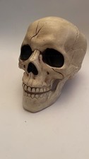 Halloween life size skull