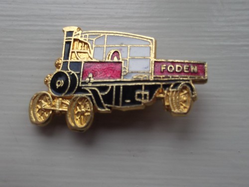 Vintage enamel and - , pin