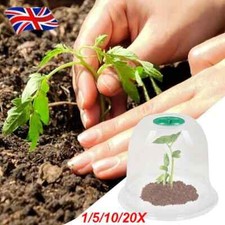 Garden Bell Cloche Mini