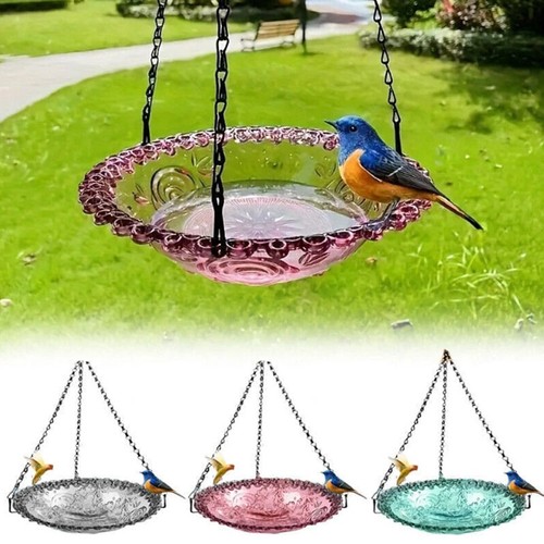 Hanging bird feeder with - feeder,
