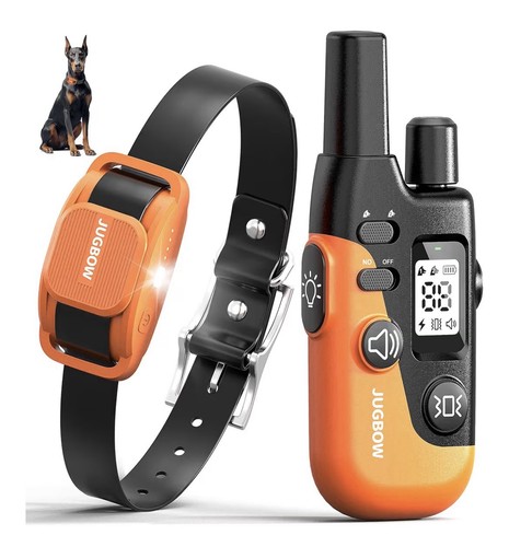Dog shock collar - dog,