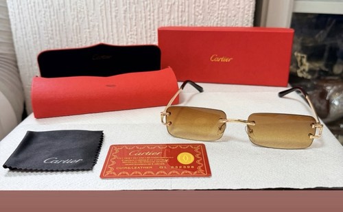 Cartier sunglass with case - cartier,