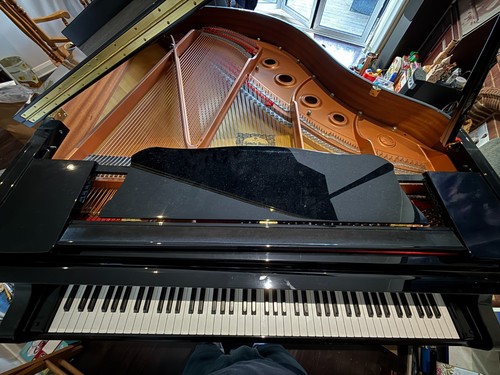 Yamaha gc1 grand - gc1, with