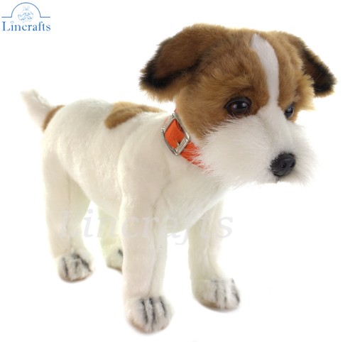 Hansa jack russell - jack, terrier