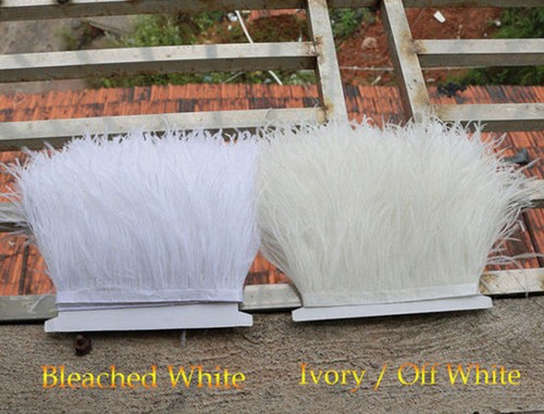 Quality ostrich feather fringe - ostrich,