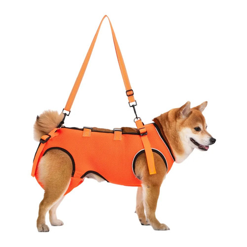 Adjustable dog lift - adjustable,