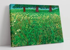 QUEEN ANNE'S LACE, DAVID