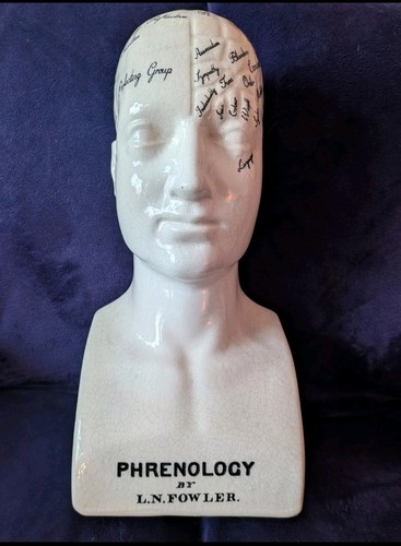 Original phrenology head n - head, l.n