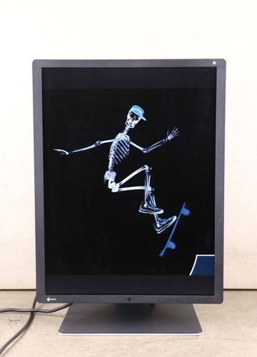 Eizo radiforce rx350 - eizo, 21.3"