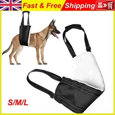 Pet Dog Mobility Aids Support