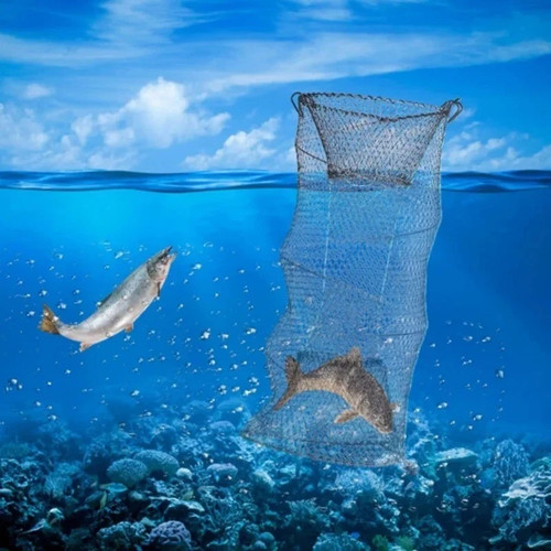 Crab trap net - crab,