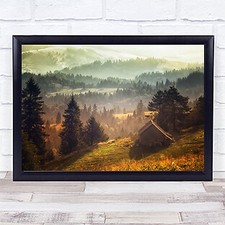 View Forest Trees Distance