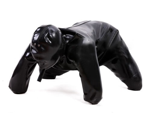 Latex full cover dog catsuit - cover,