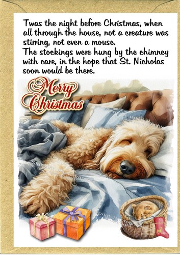 Golden doodle labradoodle - labradoodle, dog