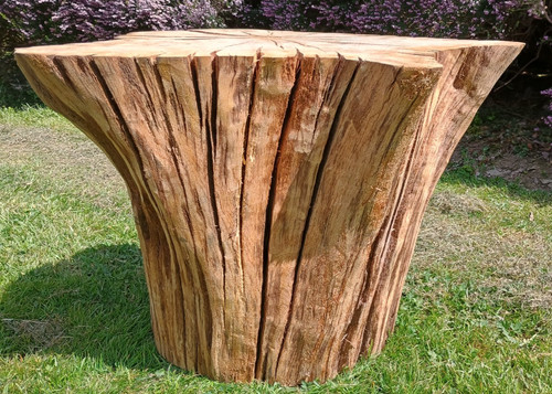 Huge coffee table log - ,