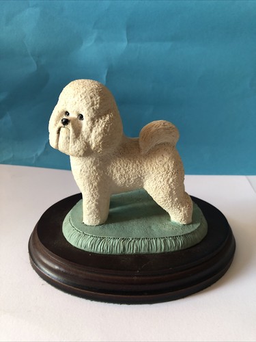 Bichon frise country - frise, artist