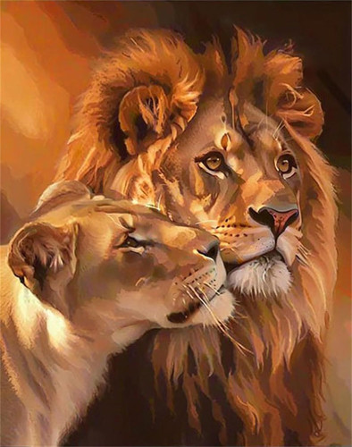 Qihensail lion paint - lion,