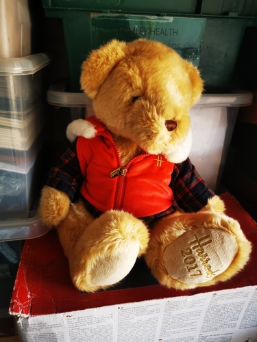 Harrods christmas teddy bears - christmas,