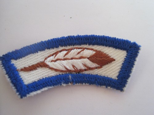 Boy scouts america - scouts, of
