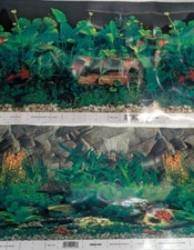 72" LONG X 12” TALL