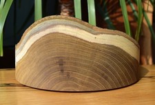 Laburnum Wood Turning Bowl