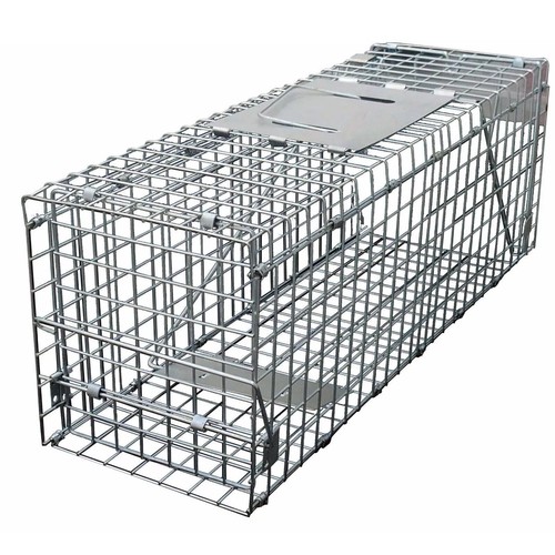 Rat trap squirrel heavy - rat,