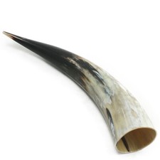 Genuine Ox Horn Viking