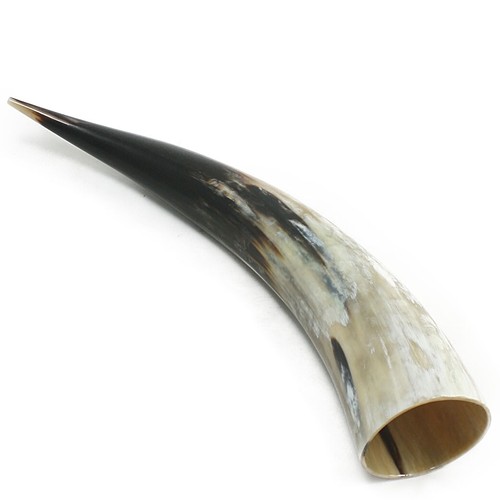 Genuine horn viking - horn,