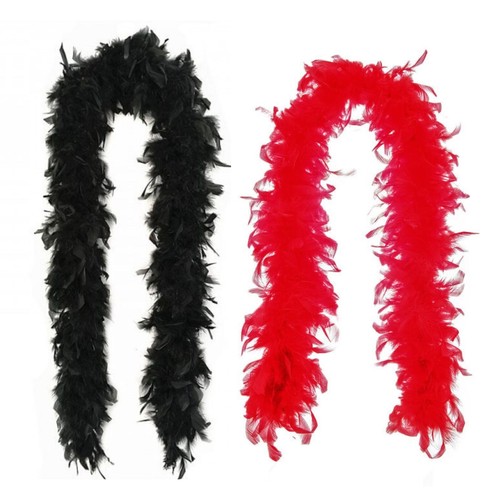Feather boa costume - feather,