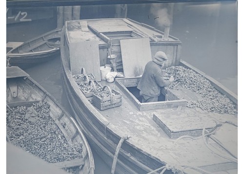 1930 boston harbor - 1930, mussel