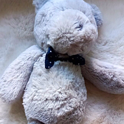 Tesco grey plush teddy bear - grey,