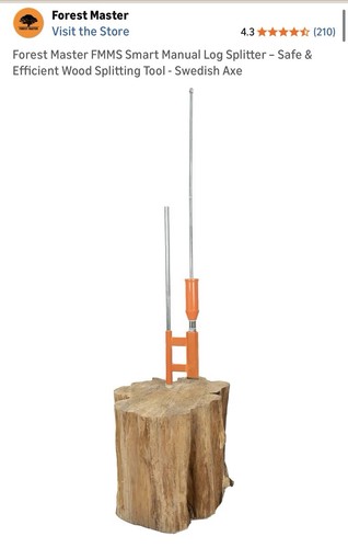 Forest mast log - forest,