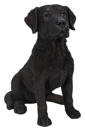 Vivid arts black - vivid, labrador