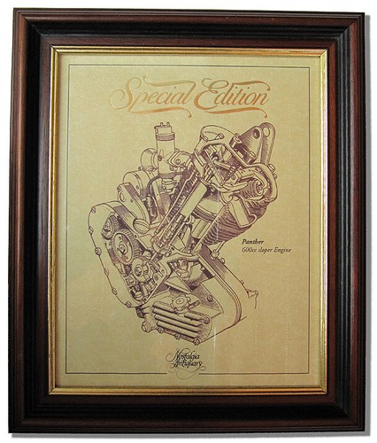 Panther 600 sloper gold - gold, leaf