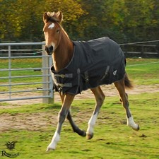 Small Pony/Foal Mediumweight  Outdoor Rug  Konig by Rhinegold 600 Denier Ripstop