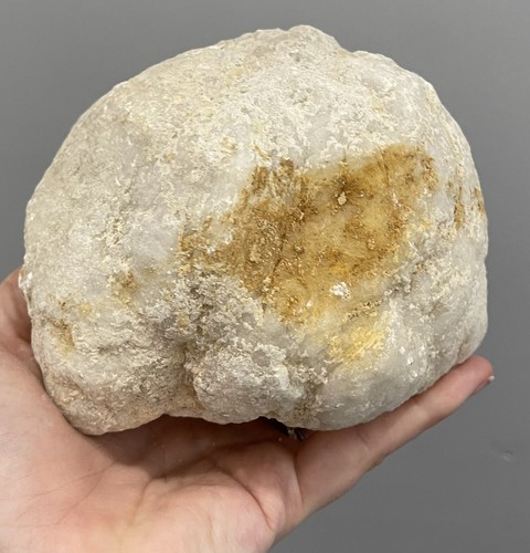 Whole unopened geode large - geode,