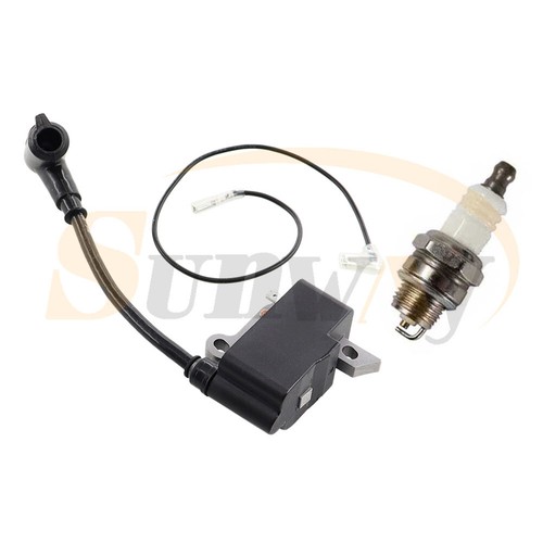 Ignition coil spark - ignition, plug