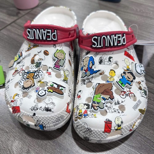 Snoopy charlie brown - charlie,