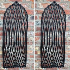 Willow Climbing Plant