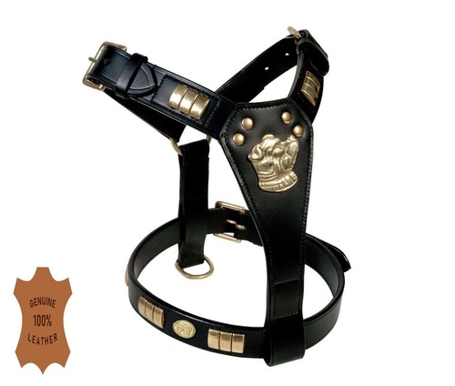Staffy leather designer dog - designer,