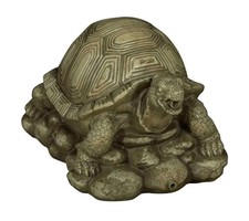 Bermuda Turtle Pond Spitter