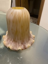 10 AVAILABLE Tulip Shape Glass